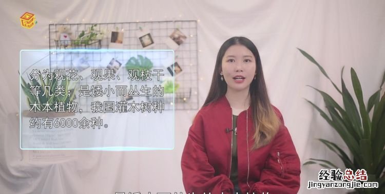 灌木种类有哪些,高大乔木有哪些