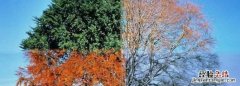 一年四季的特点，一年四季春夏秋冬的特点