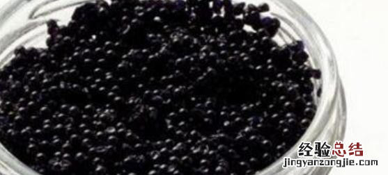 鱼子酱是什么鱼