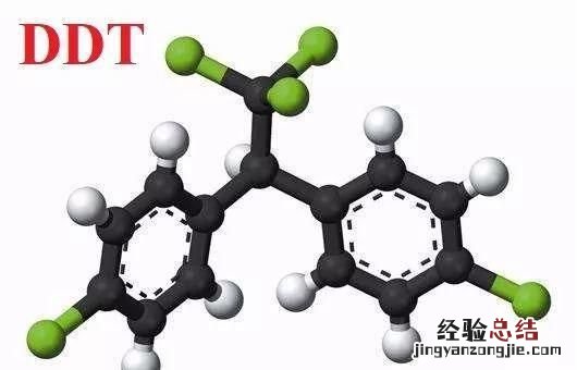 游隼到底有多快?它的天敌是谁呢