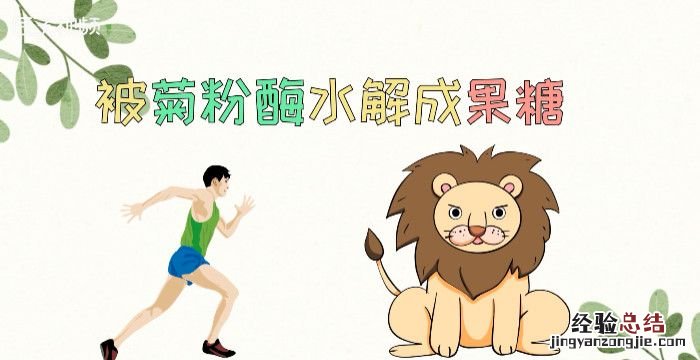 菊粉是什么,新糖源菊粉其主要成分是什么有没有添加剂