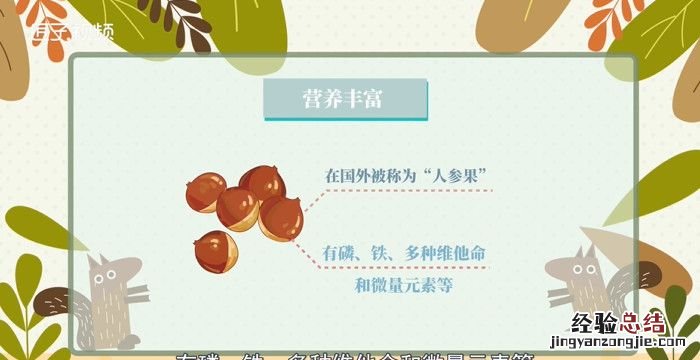 干果种类,澳洲坚果品种344与741的区别