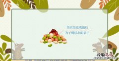 干果种类，澳洲坚果品种344与741的区别