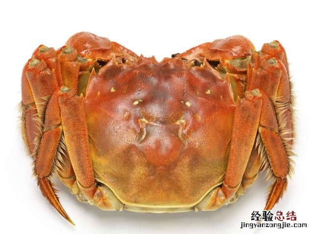 螃蟹怎么清洗,螃蟹怎么清洗和正确蒸煮方法
