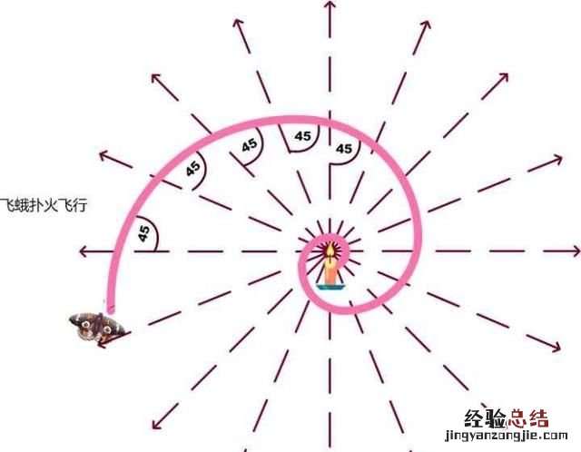 飞蛾扑火是为了什么,飞蛾扑火是因为什么原因