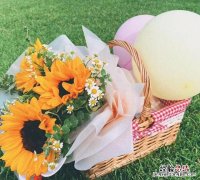 向日葵的花语是什么,向日葵的花语是什么梗