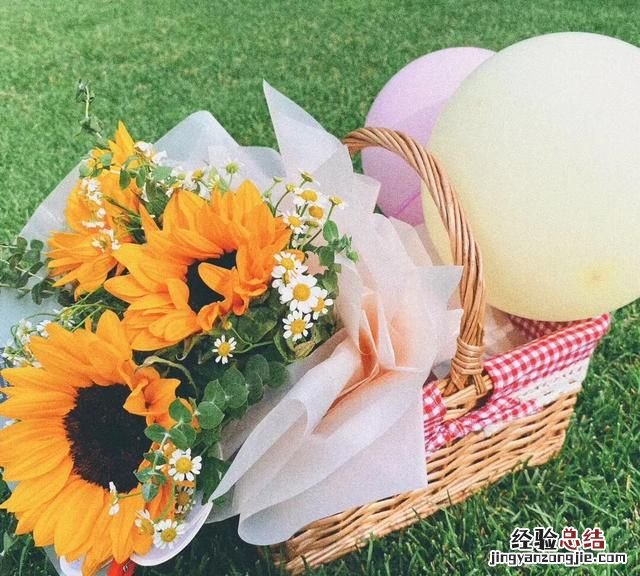 向日葵的花语是什么,向日葵的花语是什么梗