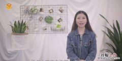 合肥有什么好玩的地方，合肥有哪些不仅好玩又经济实惠的地方
