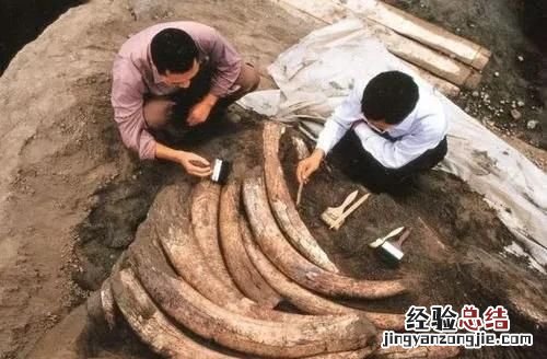 三星堆位于什么地方,三星堆位于哪个省份