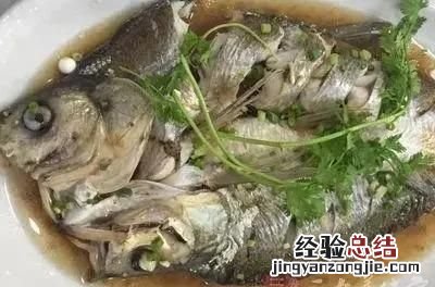 鱼身上什么地方最有营养 鱼身上哪个部位最有营养价值