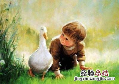 单纯是什么意思