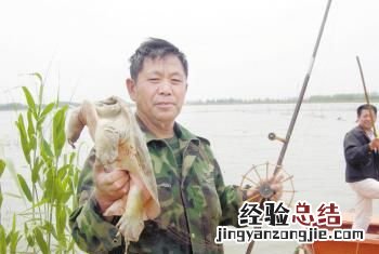 怎么钓甲鱼,抓甲鱼的笼子