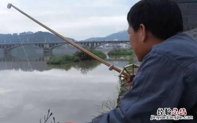 怎么钓甲鱼,抓甲鱼的笼子