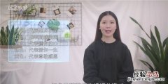 马蹄莲花语，马蹄莲花的花语是什么