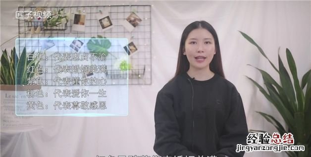马蹄莲花语，马蹄莲花的花语是什么