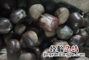 板栗怎样煮更好吃,鲜板栗怎么煮好吃