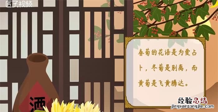 菊花代表什么