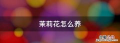 茉莉花怎么养