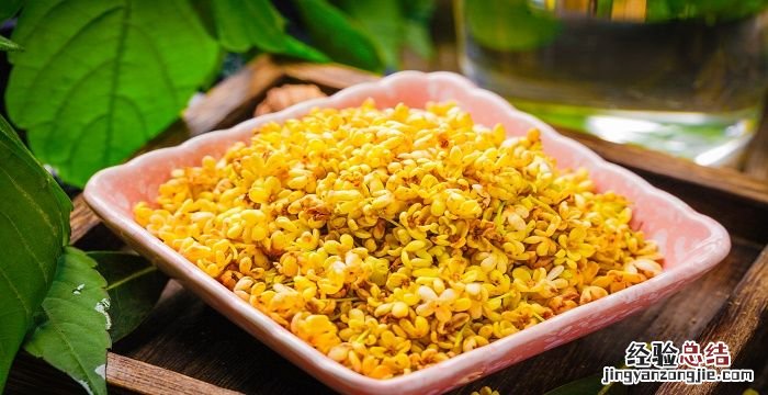 金桂什么时候开花，桂花结果后什么时候开花