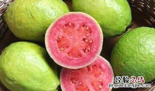 番石榴和芭乐的区别