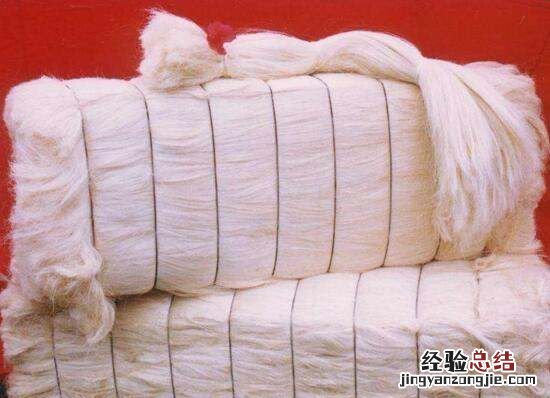 剑麻是什么,剑兰和剑麻有什么区别