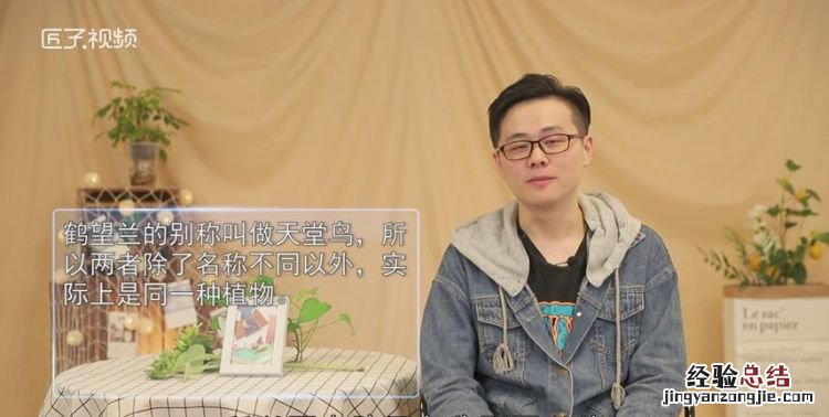 鹤望兰和天堂鸟的区别