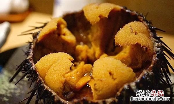 海胆的做法,幻塔海胆蒸蛋的做法