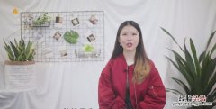 铁木是什么树，苏铁是乔木还是灌木
