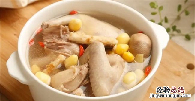 鸽子和什么一起炖汤最有营养