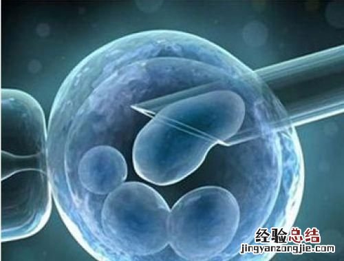 生物技术专业好就业吗,生物技术专业就业怎么样