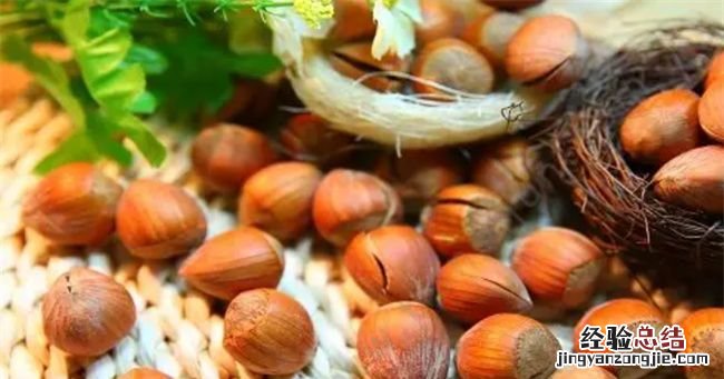 榛子生吃好还是熟吃好