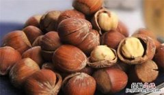 榛子生吃好还是熟吃好