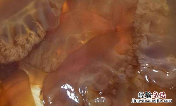 海蜇和水母的区别