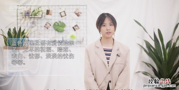 蓝色玫瑰花语是什么,三十一朵粉玫瑰花代表什么