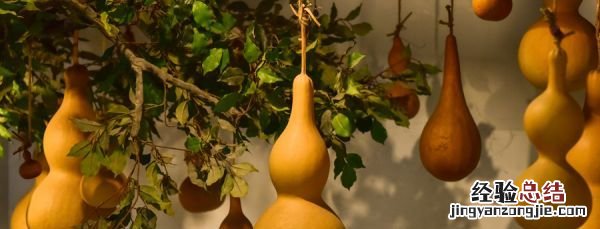 葫芦的寓意，一个葫芦到十个葫芦的寓意分别是