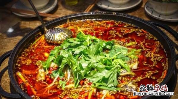 乌江鱼是什么鱼