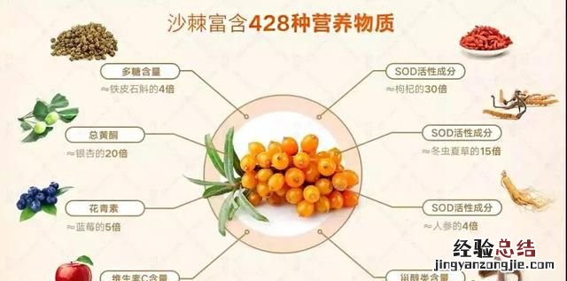 沙棘植物有什么功能 沙棘是一种什么植物有哪些功效