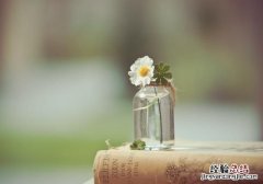 如何学会保护自己在职场 怎样在职场中保护好自己