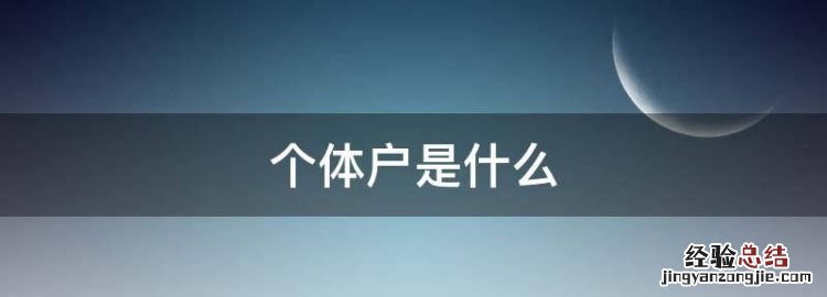 个体户是什么