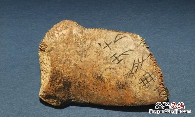 甲骨文的来历100字左右 甲骨文的来历和起源是什么