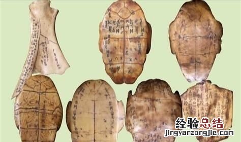 甲骨文的来历100字左右 甲骨文的来历和起源是什么