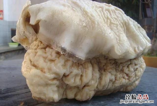 太岁到底是什么生物,太岁到底是什么做的