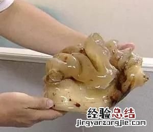 太岁到底是什么生物,太岁到底是什么做的