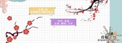 梅花的花语是什么，水仙、荷花、桃花、梅花的花语是什么