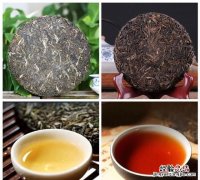 普洱老生茶与老熟茶有什么区别