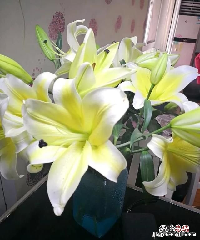 教师节送老师什么花