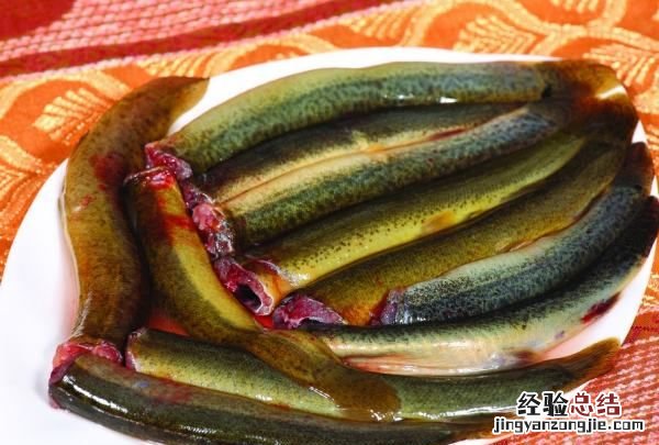 泥鳅需要去内脏,泥鳅怎么杀最快最干净王刚