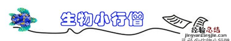 病毒它为什么还属于生物呢 病毒不是生物它属于什么