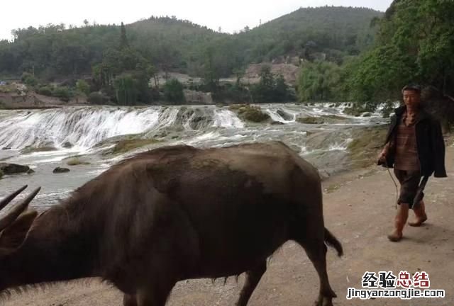 你去过黄果树瀑布吗