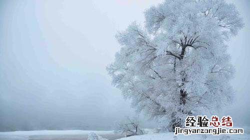 立冬吃饺子的由来,冬至吃饺子的由来绘本